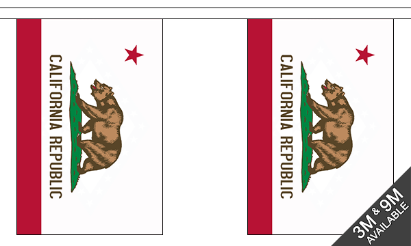 California 3 metre bunting, 10 flags - Flagmania