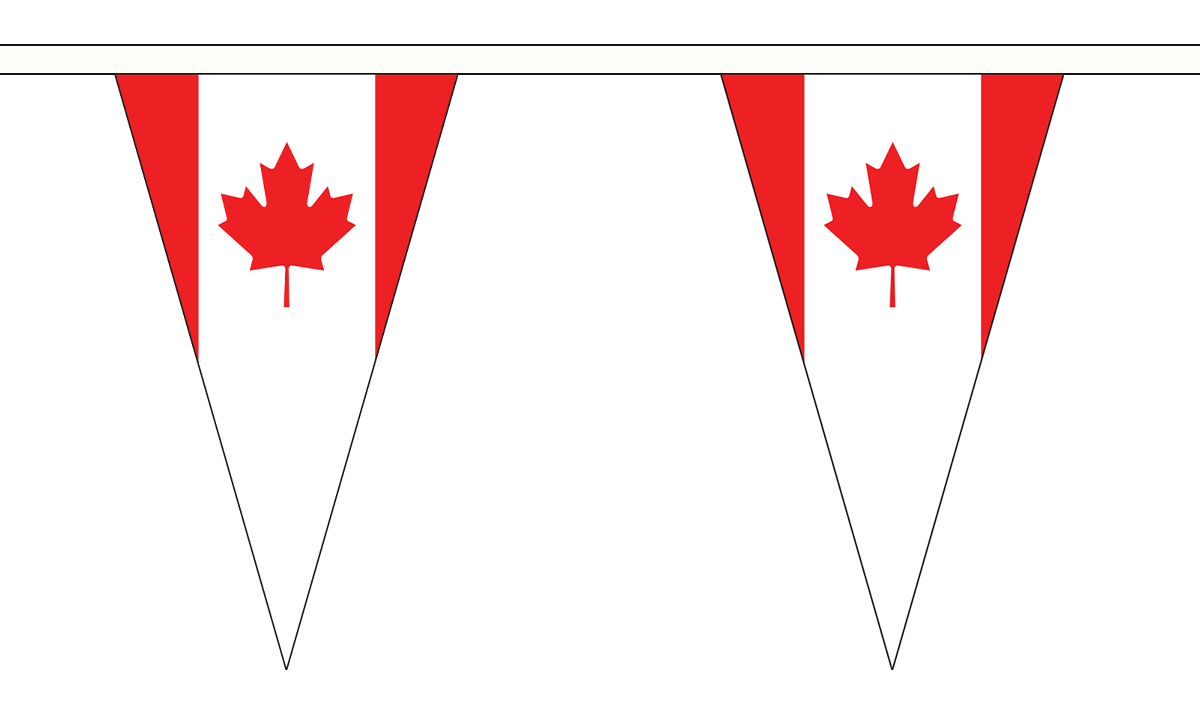 Flagmania Canada 5 metre bunting