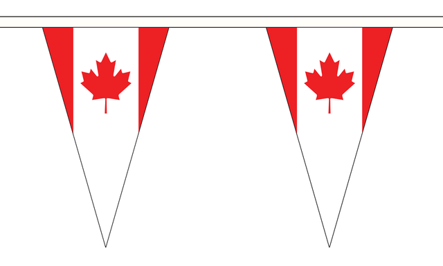 Flagmania Canada 5 metre bunting