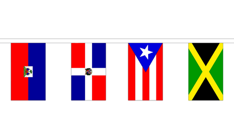 Flagmania 30 Caribbean Nations Bunting, 9 metre bunting