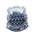 Okehampton Quality Enamel Lapel Pin Badge image 0