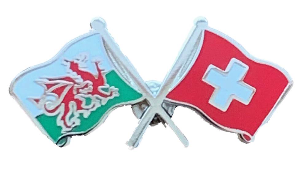 Wales & Switzerland Flags Friendship Courtesy enamel Lapel Pin Badge T387 image 0