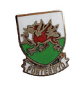 Ponterwyd Ceridigion Wales Quality Enamel Lapel Pin Badge image 0
