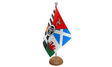 Flagmania Celtic Nations wooden hand flags, 9x6 inch, pack of 12, no bases