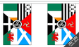 Flagmania Celtic Nations Bunting, 9 metre bunting
