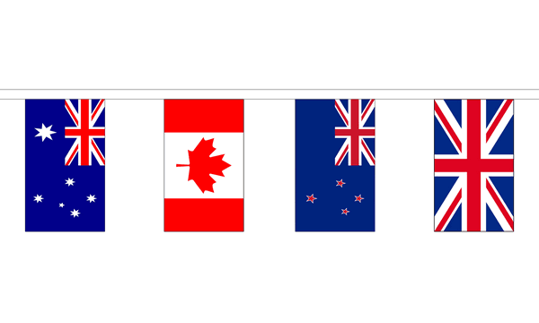 Flagmania Commonwealth 54 Nations Bunting (16m Length)