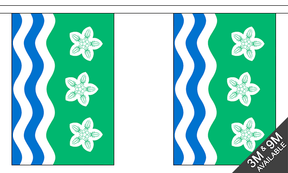 Flagmania Cumberland Bunting, 9 metre bunting