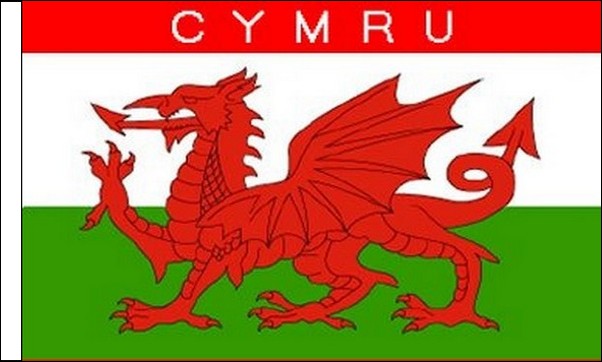 Flagmania Cymru (Sleeved) 3ft x 2ft Polyester Flag on white background