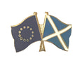 Scotland in Europe Great Britain Referendum Enamel Lapel Pin Badge image 0