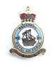 Royal Air Force 626 Squadron Military Enamel Lapel Badge image 0