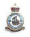 Royal Air Force 626 Squadron Military Enamel Lapel Badge image 0