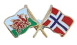 Wales & Norway Flags Friendship Courtesy enamel Lapel Pin Badge T382 image 0