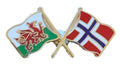 Wales & Norway Flags Friendship Courtesy enamel Lapel Pin Badge T382 image 0