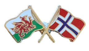 Wales & Norway Flags Friendship Courtesy enamel Lapel Pin Badge T382 image 0
