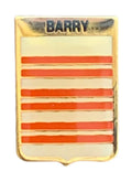 Smartbadge BARRY Family Clan Name Lapel Pin Badge image 0