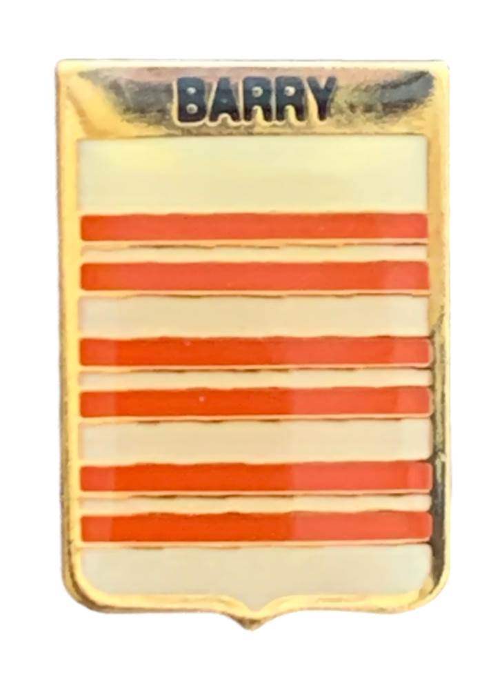 Smartbadge BARRY Family Clan Name Lapel Pin Badge image 0