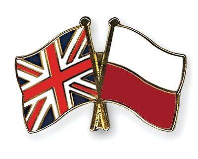 United Kingdom & Poland Friendship Flags Enamel Lapel Pin Badge image 0
