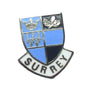 Surrey Enamel Quality Lapel Pin Badge image 0