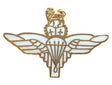 Parachute Regiment Paras Wings Royal Air Force Military Enamel Lapel Pin Badge image 0