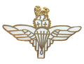 Parachute Regiment Paras Wings Royal Air Force Military Enamel Lapel Pin Badge image 0