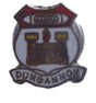 Dungannon Ireland Quality Enamel Lapel Pin Badge image 0