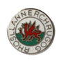 Rhosllannerchrugog Wales Quality Enamel Lapel Pin Badge image 0