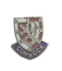 Cumnock Small Quality Enamel Lapel Pin Badge image 0