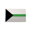 Demiromantic Pride Flag 5ft x 3ft in white grey green and black