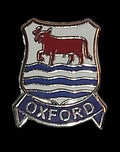 Oxford City Coat Of Arms Quality Enamel Lapel Pin Badge 710 image 0