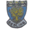Gedling Quality Enamel Lapel Pin Badge image 0