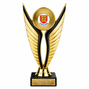 England Three Lions economy trophy 195mm with plastic top and marble base
