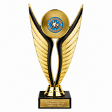 Outstanding Achievement economy trophy 195mm with plastic top and marble base