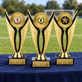 Economy trophy range beside a sports field; supplied individually