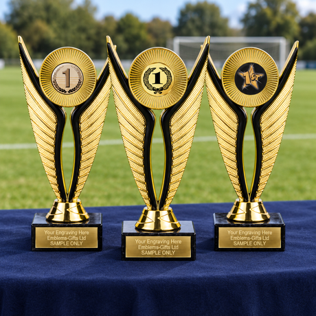 Economy trophy range beside a sports field; supplied individually