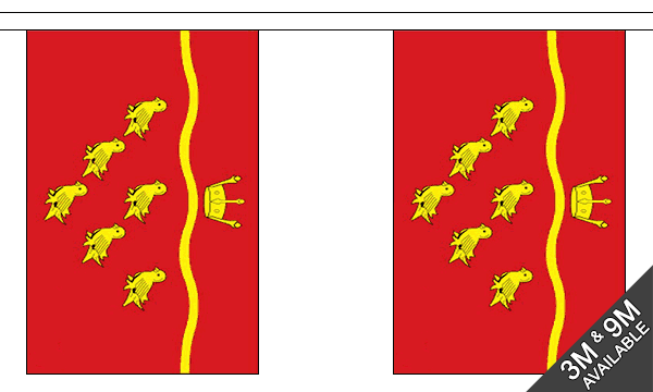 East Sussex 3 metre bunting, 10 flags - Flagmania