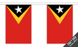 East Timor 3 metre bunting, 10 flags - Flagmania