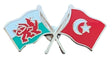 Wales & Turkey Flags Friendship Courtesy enamel Lapel Pin Badge T785 image 0