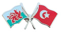Wales & Turkey Flags Friendship Courtesy enamel Lapel Pin Badge T785 image 0