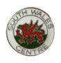 South Wales Centre Quality Enamel Lapel Pin Badge image 0