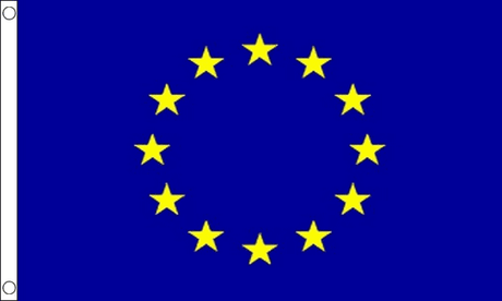 Flagmania European Union (EU) 3ft x 2ft Nylon Flag on white background