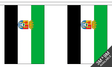 Extremadura 3 metre bunting, 10 flags - Flagmania