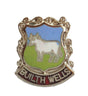 Builth Wells Wales Quality Enamel Lapel Pin Badge image 0