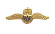 Small RAF Wings Military Hard High Quality Enamel Lapel Pin Badge image 0