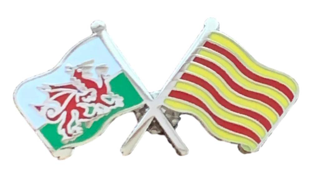 Wales & Barcelona Catalonia Flags Friendship Courtesy Enamel Pin Badge T789 image 1