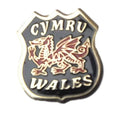 Cymru Wales - Welsh Dragon - National Quality Lapel Pin Badge image 0