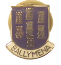 Ballymena Ireland Quality Enamel Lapel Pin Badge image 0