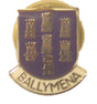 Ballymena Ireland Quality Enamel Lapel Pin Badge image 0