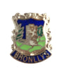 Bronllys Wales Quality Enamel Lapel Pin Badge image 0