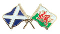 Scotland & Wales Flags Friendship Courtesy Enamel Lapel Pin Badge T1229 image 0