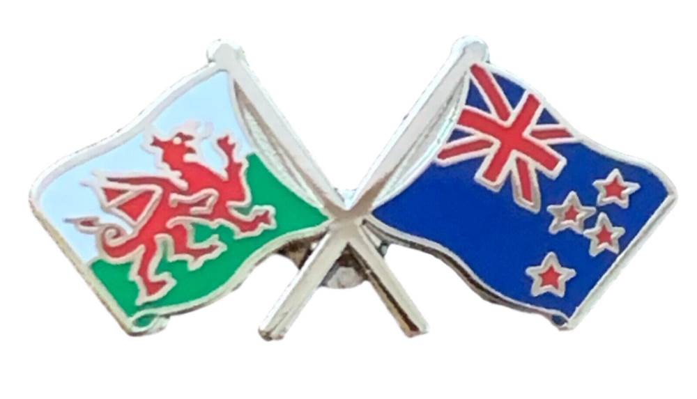 Wales & New Zealand Flags Friendship Courtesy  enamel  Lapel Pin Badge T282 image 1